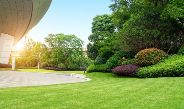 Commercial Lawn Mowing Service