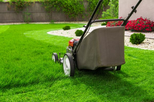 Home Yard Maintenance in Slidell