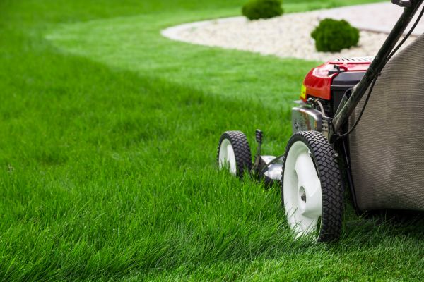 Lawn Cutting Service in Slidell