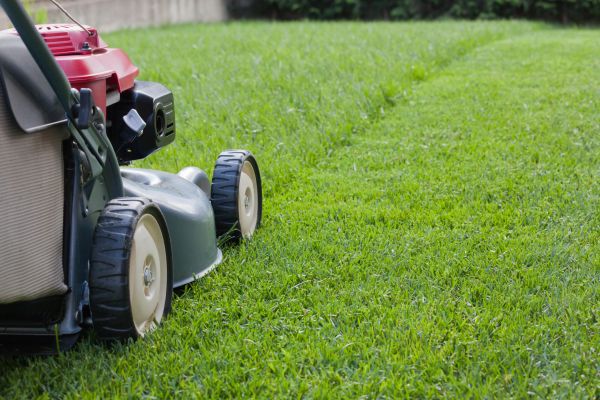 Residential Lawn Care in Slidell