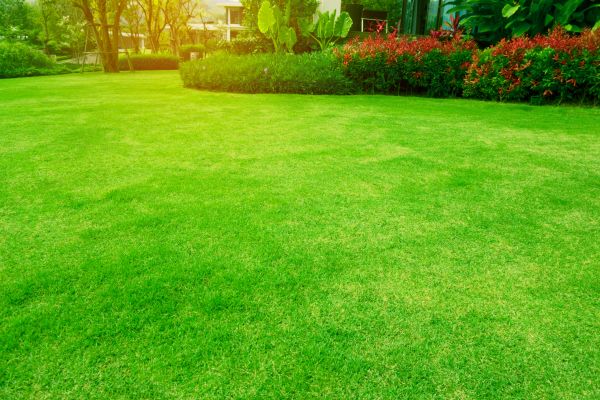 Grass Maintenance in Slidell