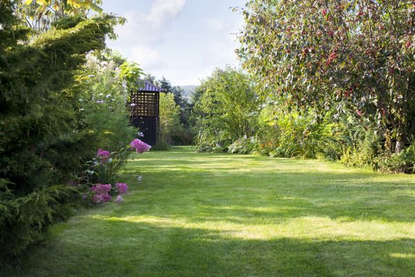 Yard Upkeep Service in Slidell