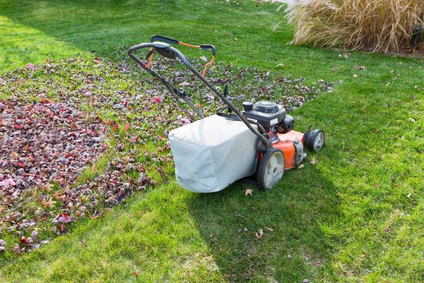 Seasonal Lawn Care in Slidell