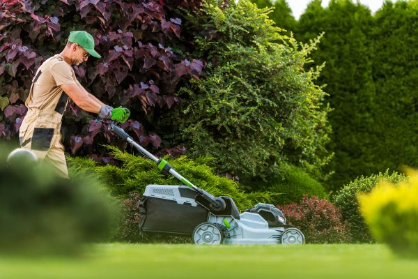 Lawn Management in Slidell