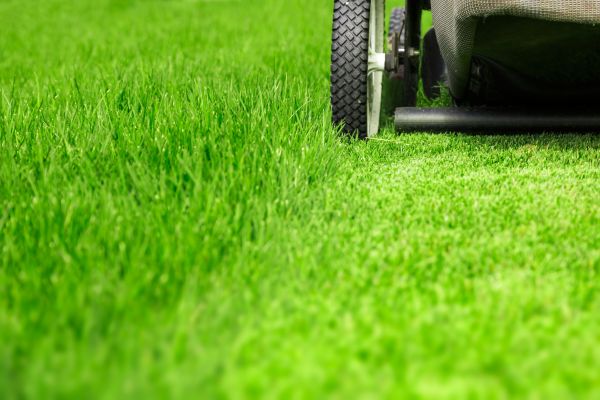 Weekly Lawn Care in Slidell