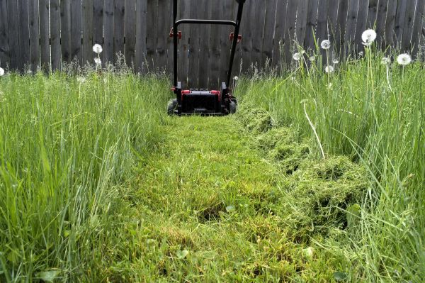 High Grass Mowing in Slidell