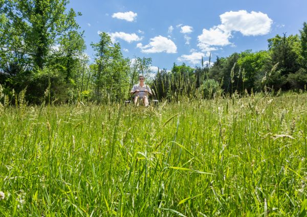 Long Grass Mowing in Slidell