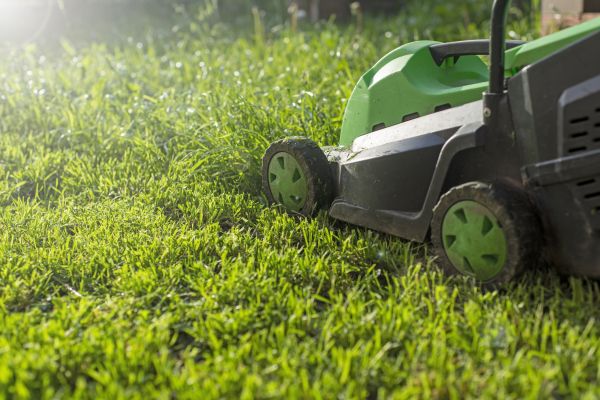 Yard Trimming in Slidell