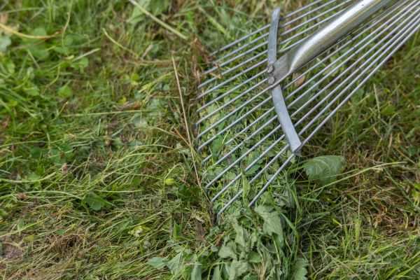 Thatch Raking in Slidell