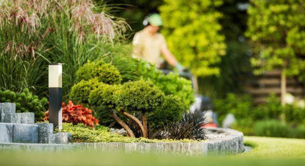 Residential Yard Maintenance in Slidell