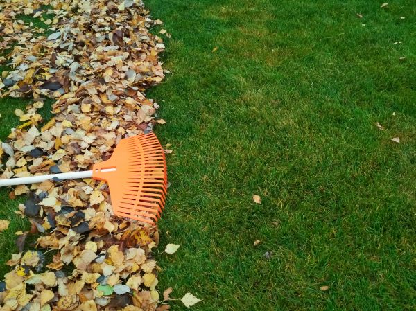 Fall Lawn Care in Slidell