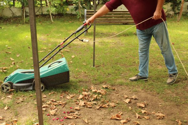 Leaves Mowing in Slidell
