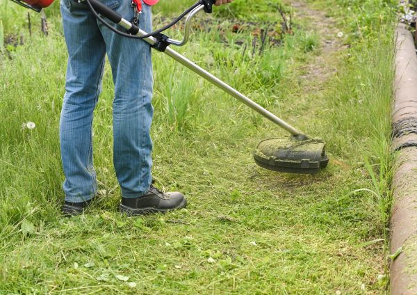 Tall Grass Trimming in Slidell