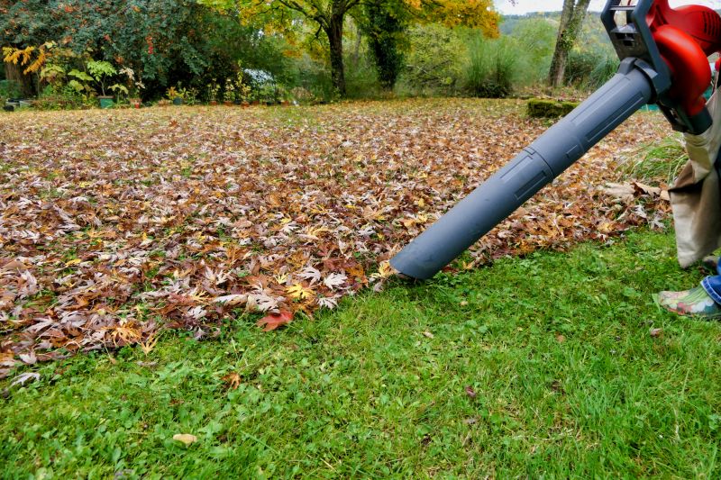 Professional Equipment for Fall Cleanup