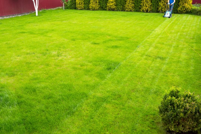 Lawn Health Maintenance