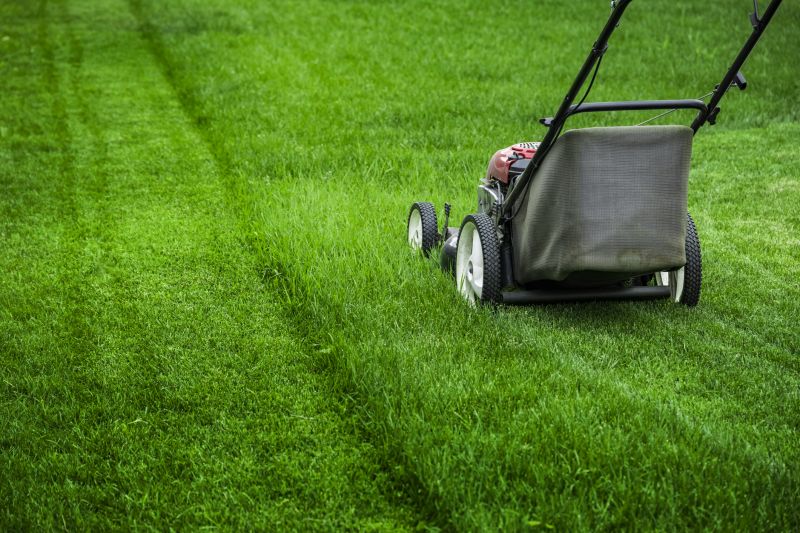 Close-Up of Mowing