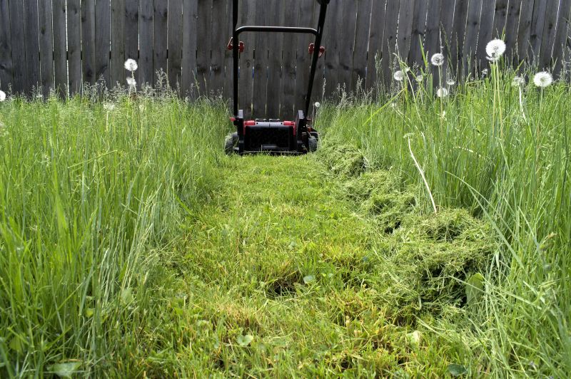 Lawn Mowing in Progress